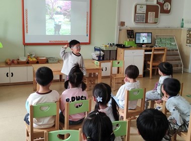 清明融于情 传统润童心——新塍幼儿园小班清明节系列活动