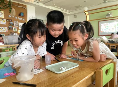 科学小实验：水中开花