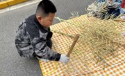 趣敲菜籽！