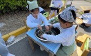 制作驱蚊艾草膏